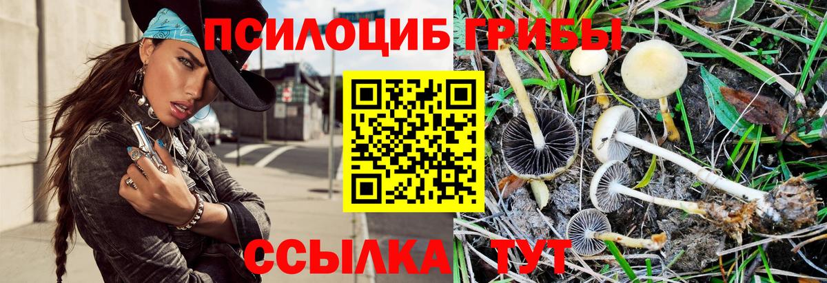 цены наркотик  Псилоцибиновые грибы Psilocybe  Псилоцибиновые грибы мицелий  Вход с VPN  Дмитров 